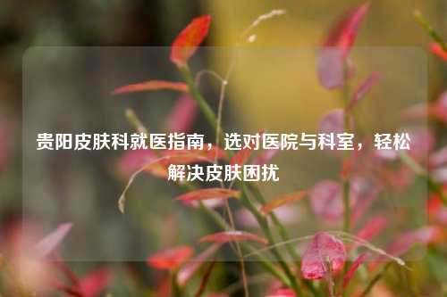 贵阳皮肤科就医指南,选对医院与科室,轻松解决皮肤困扰