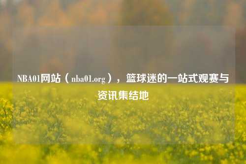 NBA01网站(nba01.org),篮球迷的一站式观赛与资讯集结地