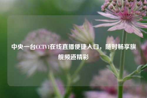 中央一台CCTV1在线直播便捷入口,随时畅享旗舰频道精彩