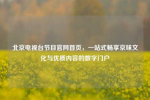 北京电视台节目官网首页,一站式畅享京味文化与优质内容的数字门户