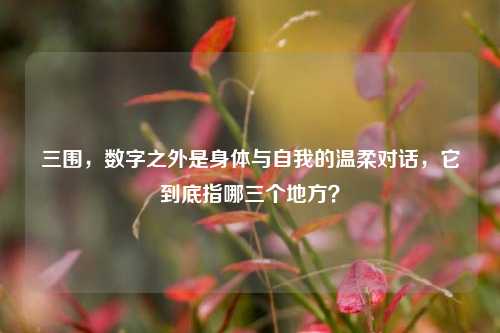 三围,数字之外是身体与自我的温柔对话,它到底指哪三个地方?