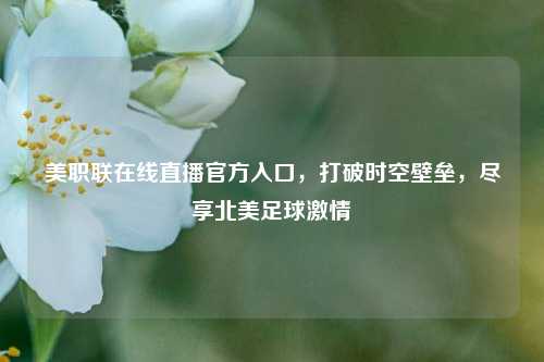 美职联在线直播官方入口,打破时空壁垒,尽享北美足球