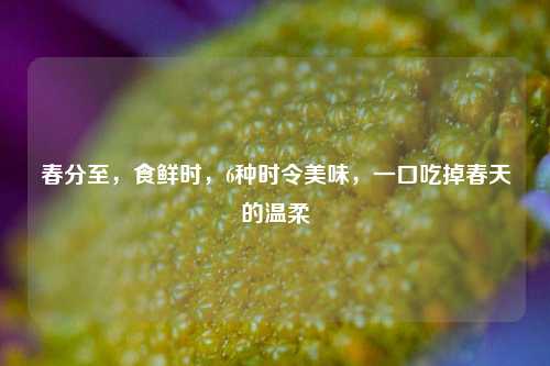 春分至,食鲜时,6种时令美味,一口吃掉春天的温柔