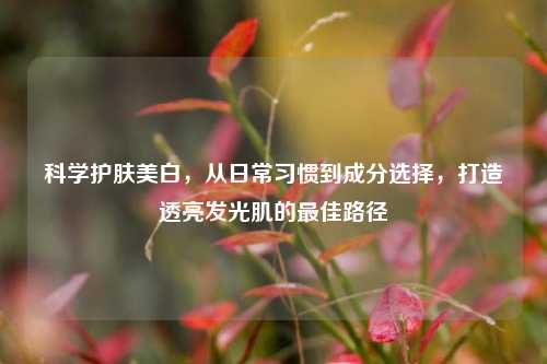 科学护肤美白,从日常习惯到成分选择,打造透亮发光肌的更佳路径