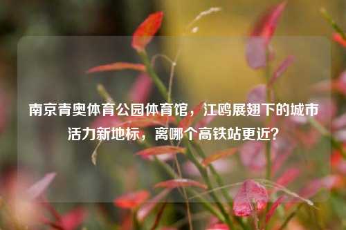 南京青奥体育公园体育馆,江鸥展翅下的城市活力新地标,离哪个高铁站更近?
