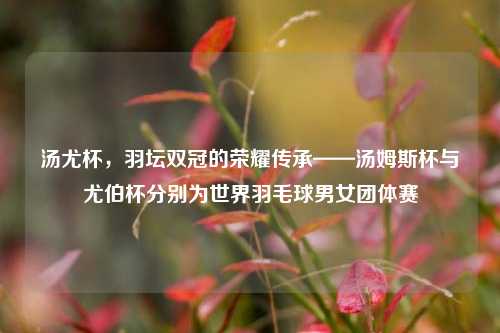 汤尤杯,羽坛双冠的荣耀传承——汤姆斯杯与尤伯杯分别为世界羽毛球男女团体赛