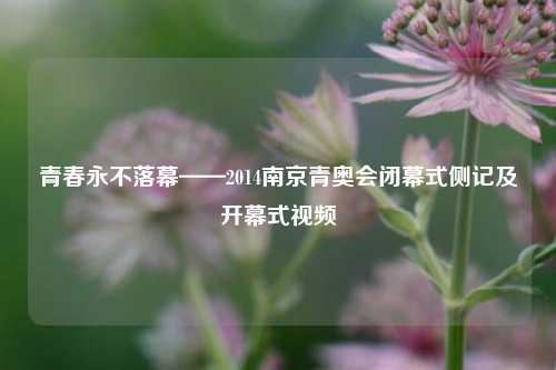 青春永不落幕——2014南京青奥会闭幕式侧记及开幕式视频