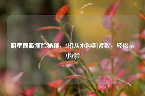 明星同款瘦脸秘籍,5招从水肿到紧致,轻松get小V脸