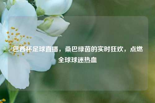 巴西杯足球直播,桑巴绿茵的实时狂欢,点燃全球球迷热血