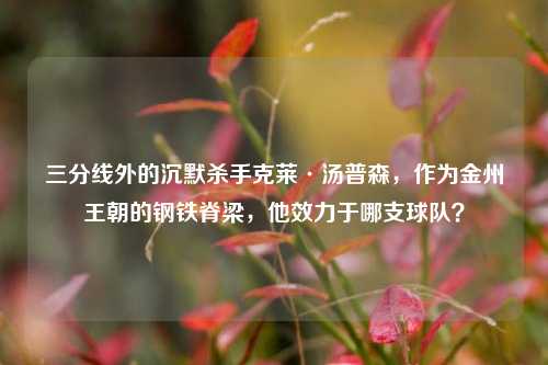 三分线外的沉默杀手克莱·汤普森,作为金州王朝的钢铁脊梁,他效力于哪支球队?