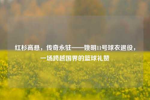 红杉高悬,传奇永驻——姚明11号球衣退役,一场跨越国界的篮球礼赞