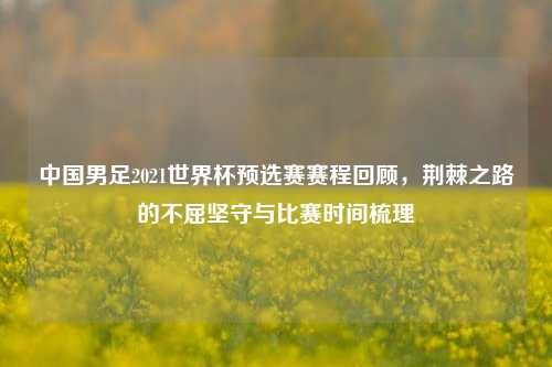 中国男足2021世界杯预选赛赛程回顾,荆棘之路的不屈坚守与比赛时间梳理