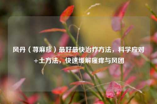 风丹(荨麻疹)更好最快治疗 ,科学应对+土 ,快速缓解瘙痒与风团