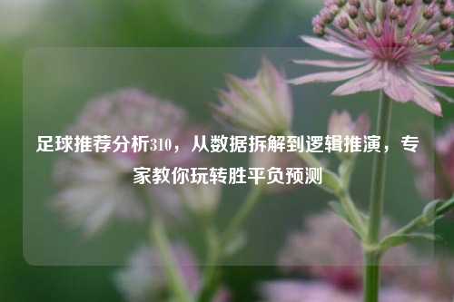 足球推荐分析310,从数据拆解到逻辑推演,专家教你玩转胜平负预测