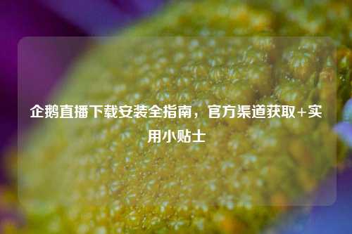 企鹅直播下载安装全指南,官方渠道获取+实用小贴士