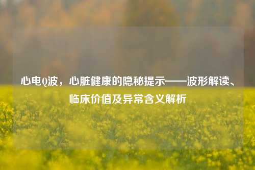 心电Q波,心脏健康的隐秘提示——波形解读、临床价值及异常含义解析