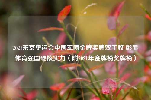 2021东京奥运会中国军团金牌奖牌双丰收 彰显体育强国硬核实力(附2021年金牌榜奖牌榜)