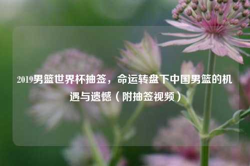 2019男篮世界杯抽签,命运转盘下中国男篮的机遇与遗憾(附抽签视频)