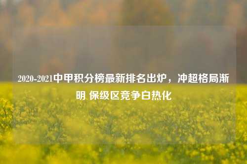 2020-2021中甲积分榜最新排名出炉,冲超格局渐明 保级区竞争白热化