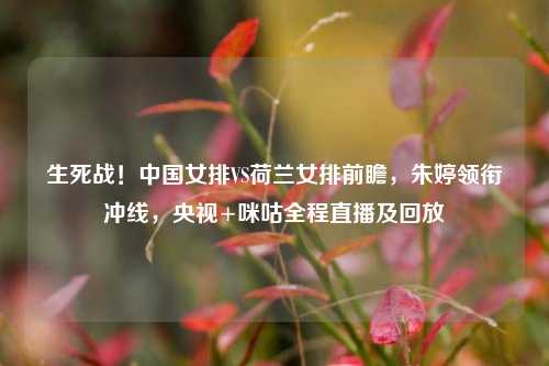 生死战!中国女排VS荷兰女排前瞻,朱婷领衔冲线,央视+咪咕全程直播及回放