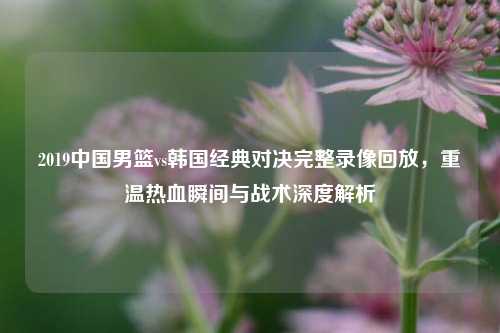 2019中国男篮vs韩国经典对决完整录像回放,重温热血瞬间与战术深度解析
