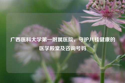 广西医科大学之一附属医院,守护八桂健康的医学殿堂及咨询号码