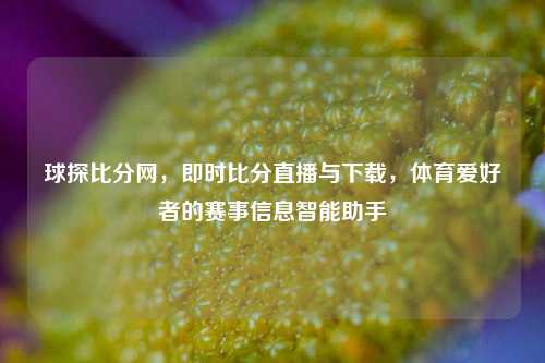 球探比分网,即时比分直播与下载,体育爱好者的赛事信息智能助手
