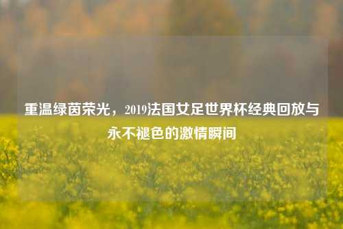 重温绿茵荣光,2019法国女足世界杯经典回放与永不褪色的 瞬间