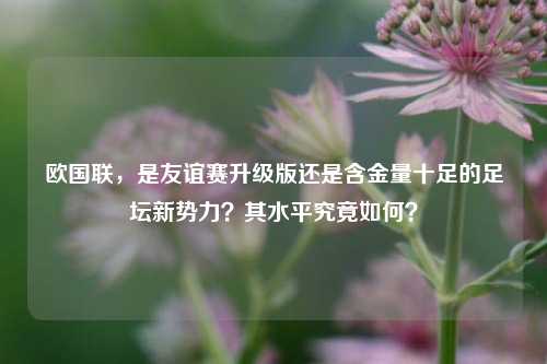 欧国联,是友谊赛升级版还是含金量十足的足坛新势力?其水平究竟如何?