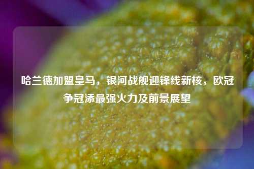 哈兰德加盟皇马,银河战舰迎锋线新核,欧冠争冠添最强火力及前景展望