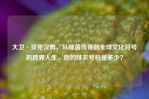 大卫·贝克汉姆,从绿茵传奇到全球文化符号的跨界人生,他的球衣号码是多少?