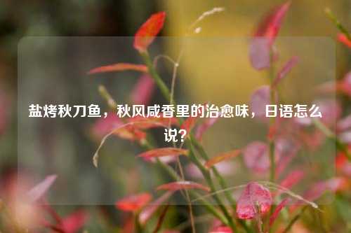 盐烤秋刀鱼,秋风咸香里的治愈味,日语怎么说?