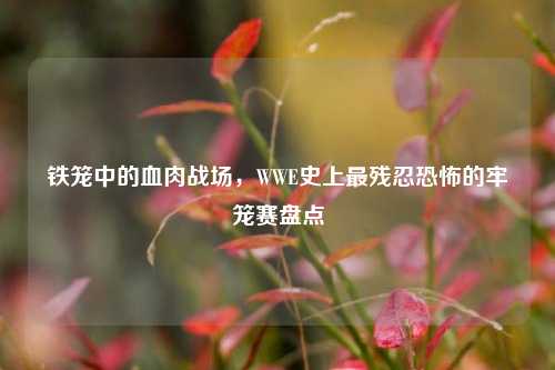 铁笼中的血肉战场,WWE史上最残忍恐怖的牢笼赛盘点