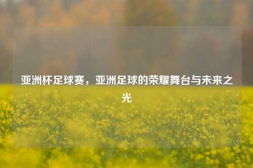 亚洲杯足球赛,亚洲足球的荣耀舞台与未来之光