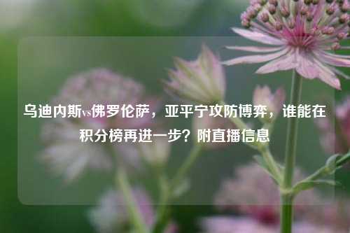 乌迪内斯vs佛罗伦萨,亚平宁攻防博弈,谁能在积分榜再进一步?附直播信息