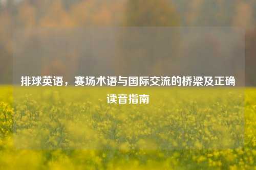 排球英语,赛场术语与国际交流的桥梁及正确读音指南