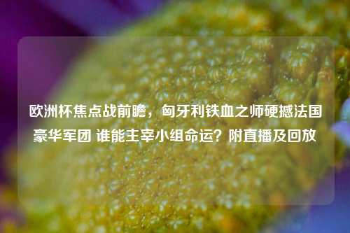 欧洲杯焦点战前瞻,匈牙利铁血之师硬撼法国豪华军团 谁能主宰小组命运?附直播及回放