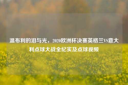 温布利的泪与光,2020欧洲杯决赛英格兰VS意大利点球大战全纪实及点球视频