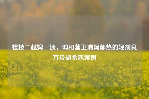 桂枝二越婢一汤,调和营卫清泻郁热的轻剂良方及胡希恕案例