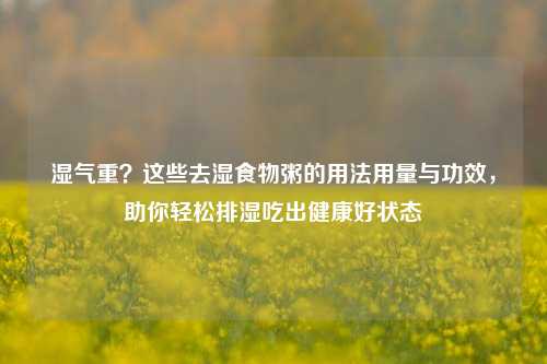 湿气重?这些去湿食物粥的用法用量与功效,助你轻松排湿吃出健康好状态