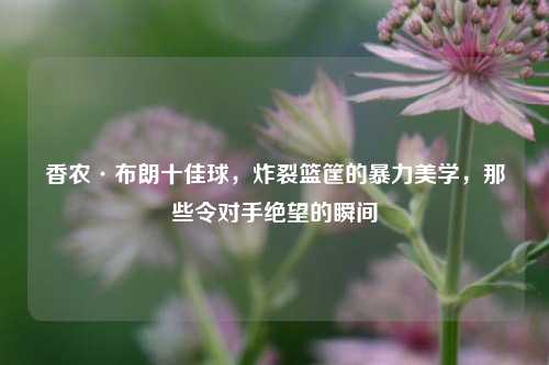 香农·布朗十佳球,炸裂篮筐的暴力美学,那些令对手绝望的瞬间