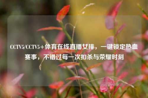 CCTV5/CCTV5+体育在线直播女排,一键锁定热血赛事,不错过每一次扣杀与荣耀时刻