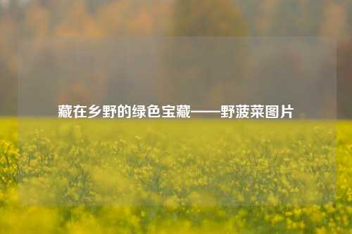 藏在乡野的绿色宝藏——野菠菜图片