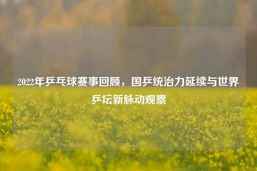 2022年乒乓球赛事回顾,国乒统治力延续与世界乒坛新脉动观察