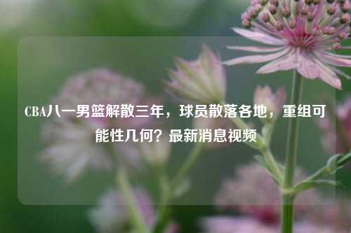 CBA八一男篮解散三年,球员散落各地,重组可能性几何?最新消息视频