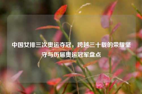 中国女排三次奥运夺冠,跨越三十载的荣耀坚守与历届奥运冠军盘点