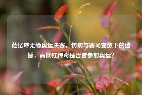 范忆琳无缘奥运决赛,伤病与赛场变数下的遗憾,高低杠传奇是否曾参加奥运?
