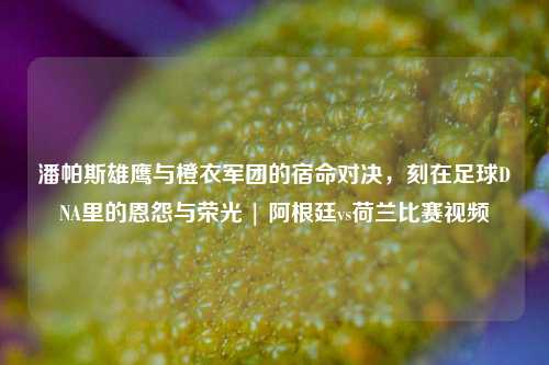 潘帕斯雄鹰与橙衣军团的宿命对决,刻在足球DNA里的恩怨与荣光 | 阿根廷vs荷兰比赛视频