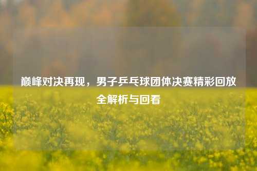 巅峰对决再现,男子乒乓球团体决赛精彩回放全解析与回看