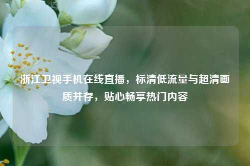 浙江卫视手机在线直播,标清低流量与超清画质并存,贴心畅享热门内容